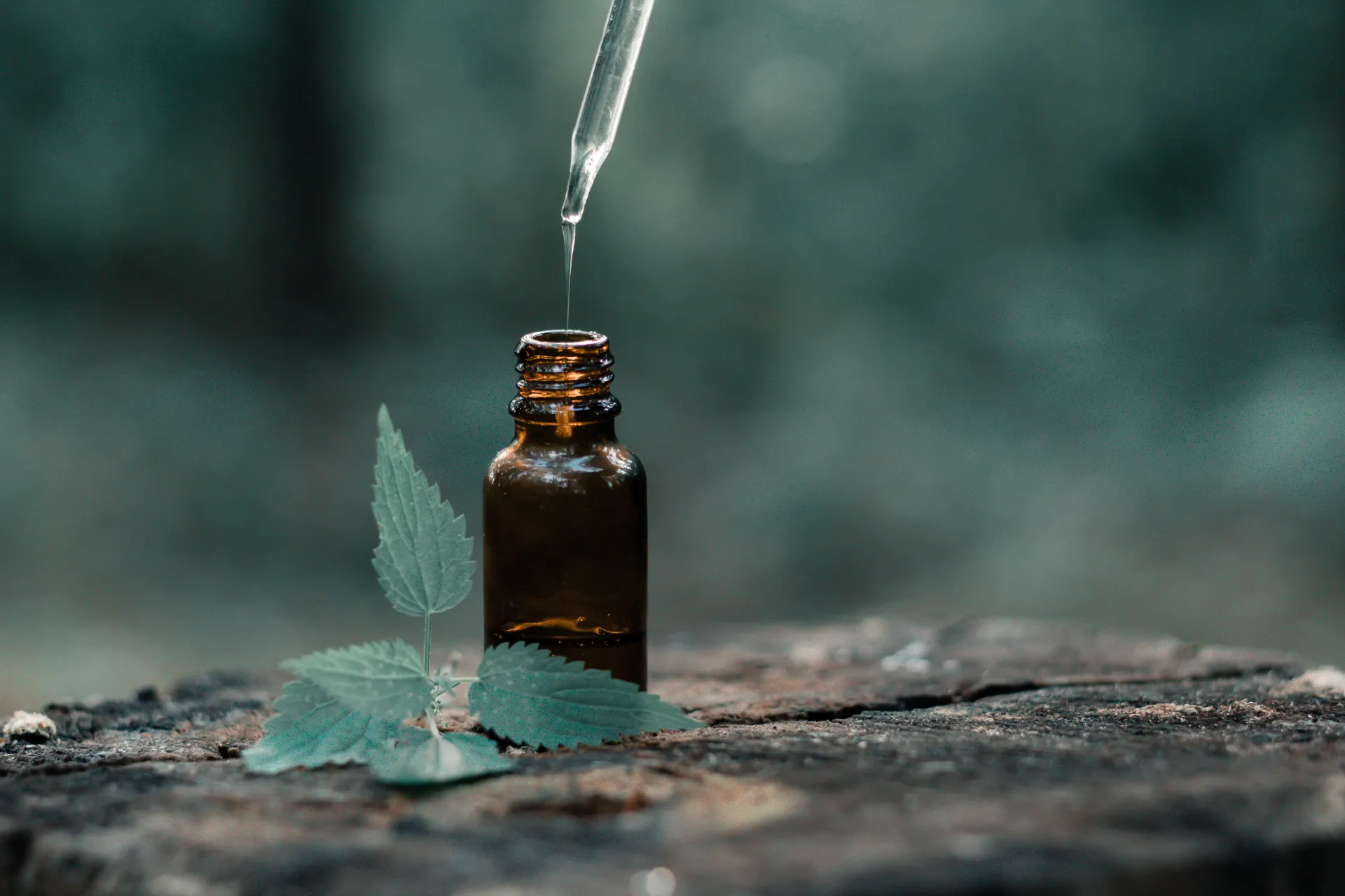 Essential oil bottle with dropper and leaves